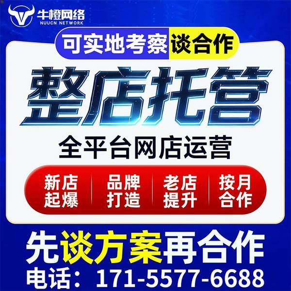 寿光电商代运营