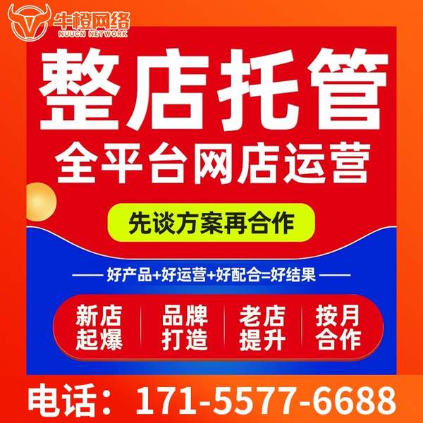 寿光电商代运营