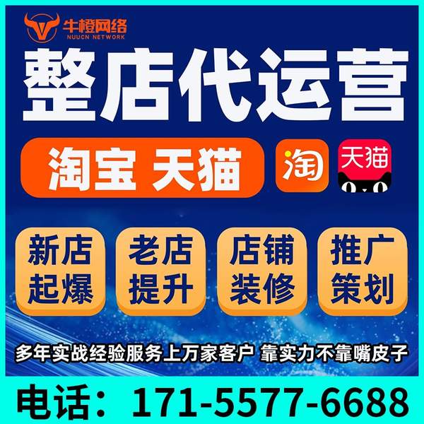 寿光电商代运营