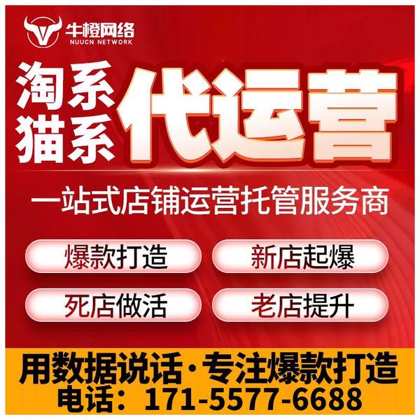 寿光电商代运营
